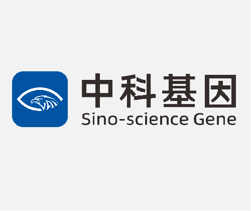 北京中科基因技術(shù)股份有限公司 使用資本公積金彌補虧損的公告